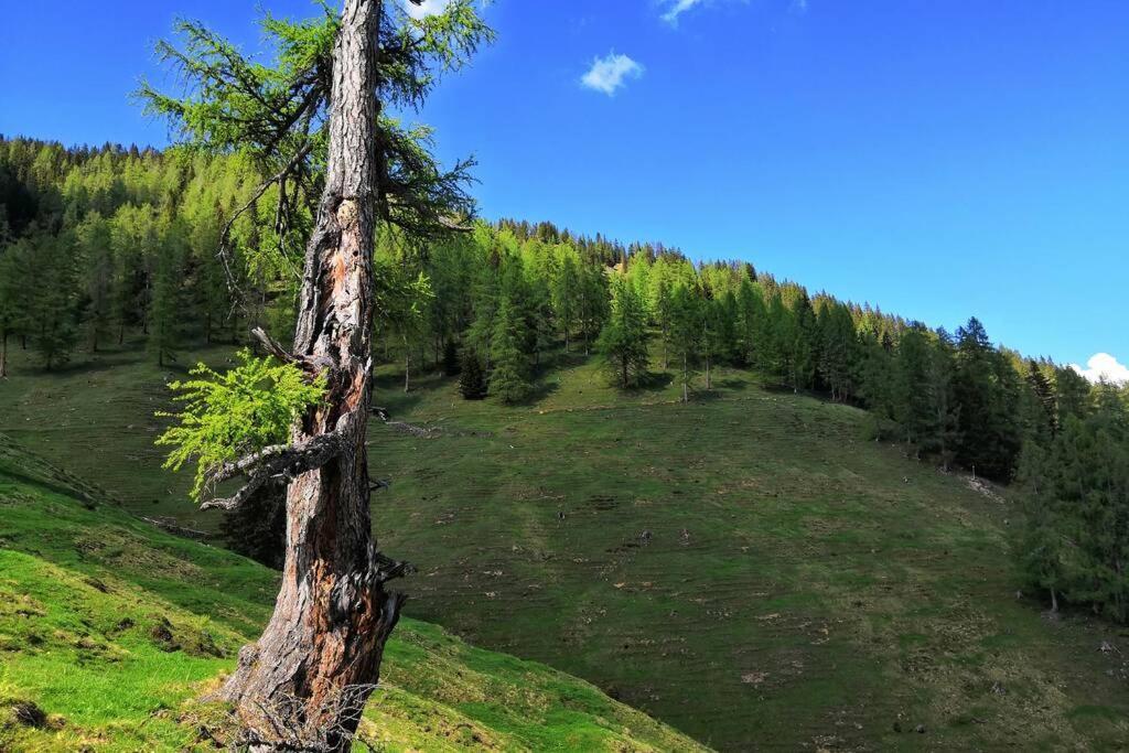 Appartment Dutzler Sankt Martin am Tennengebirge Luaran gambar